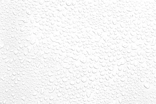 Water rain drops isolated on white background. — Stock Photo, Image