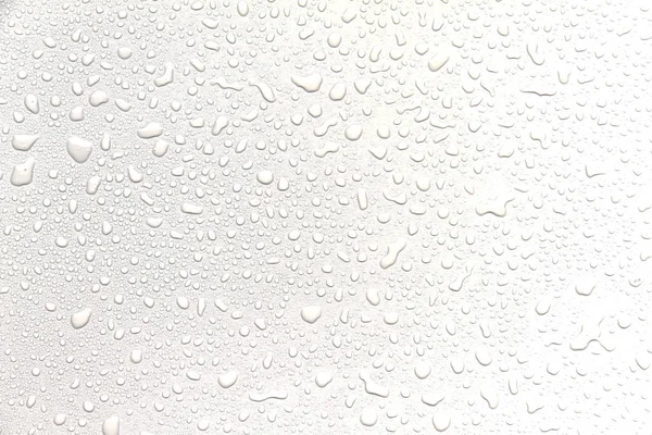 O conceito de gotas de água sobre um fundo branco — Fotografia de Stock