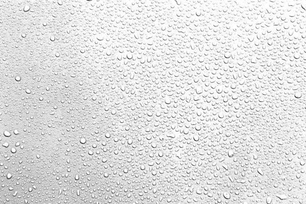 회색 배경에 있는 물방울 — 스톡 사진