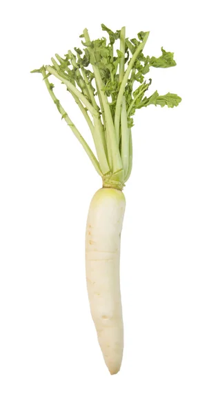 Daikon radijsjes geïsoleerd op witte achtergrond — Stockfoto