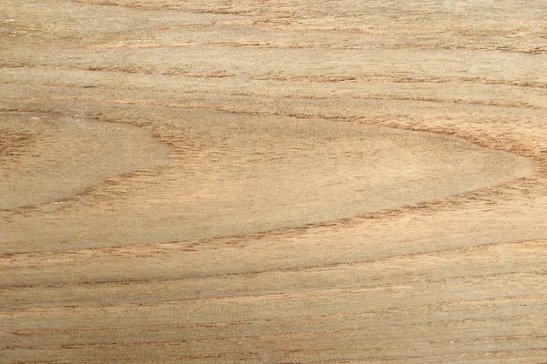 Textur von Holz Hintergrund Nahaufnahme — Stockfoto