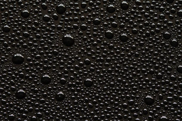 Gouttes d'eau sur noir — Photo