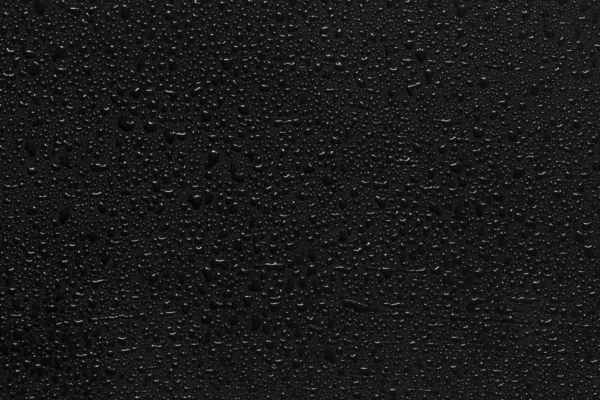 Gotas de agua sobre fondo negro — Foto de Stock