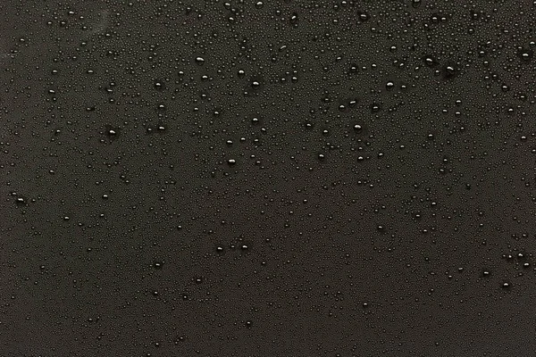 Water drops on black abstract background — Stock Photo, Image