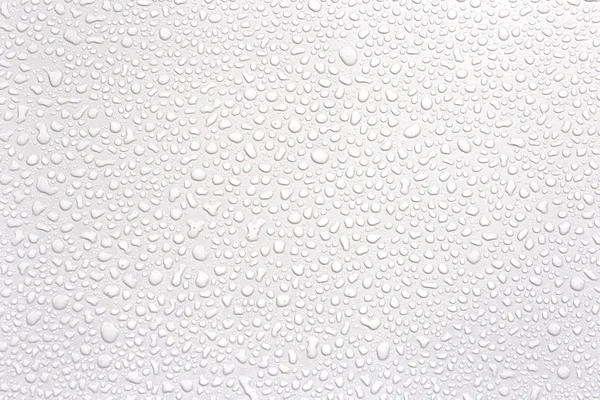 Beyaz arka planda izole su yağmur damlaları. 