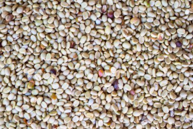 Kahve çekirdekleri atlanmaz..