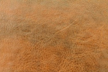 Doku portre çekimi için kahverengi deri arka plan, 