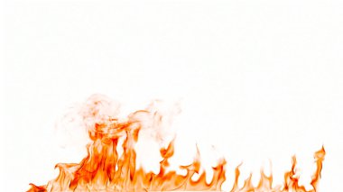 Beyaz arkaplanda yangın alevleri izole edildi.