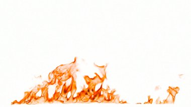 Beyaz arkaplanda yangın alevleri izole edildi.