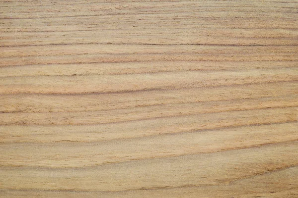 Texture of wood background closeup — Stock Photo, Image