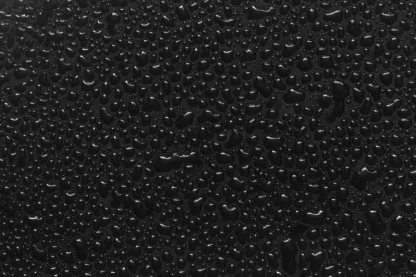 Water droplets on black background — Stock Photo, Image