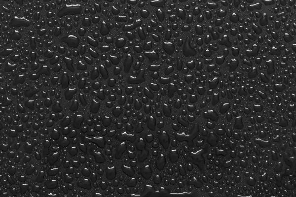 검은 배경에 있는 물방울 — 스톡 사진