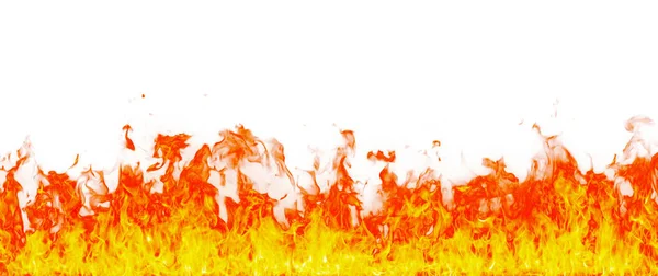 Beyaz arkaplanda yangın alevleri izole edildi.