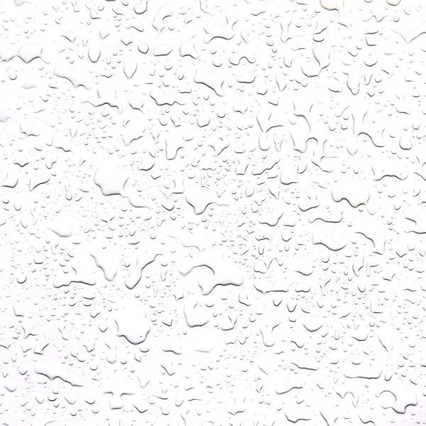 O conceito de gotas de água sobre um fundo branco — Fotografia de Stock