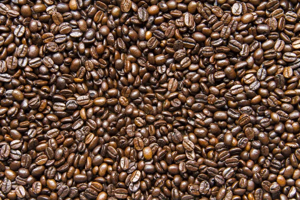 Grains de café texture fond — Photo