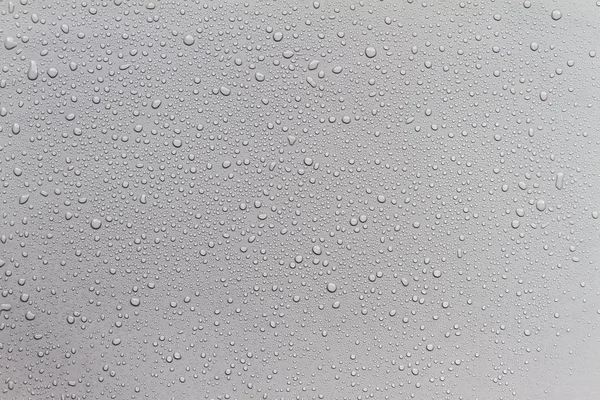 Drops of water on a color background. Gray. — Stock Photo, Image