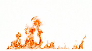 Beyaz arkaplanda yangın alevleri izole edildi.