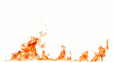 Beyaz arkaplanda yangın alevleri izole edildi.