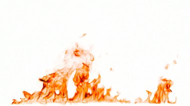 Beyaz arkaplanda yangın alevleri izole edildi.