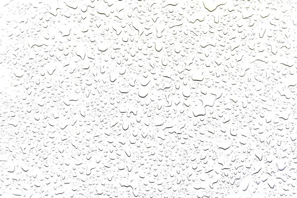 水滴在白色背景上的概念 — 图库照片