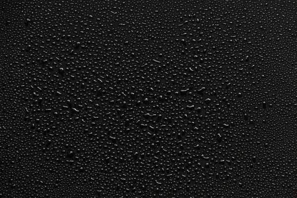 Water drops on black background. — Stock Photo, Image