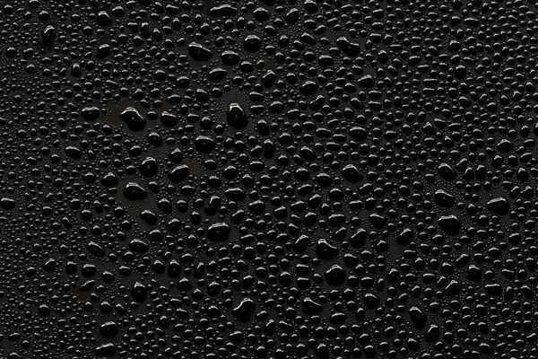 Капли воды на черном — стоковое фото