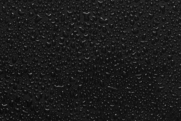 Gotas de agua sobre fondo negro — Foto de Stock