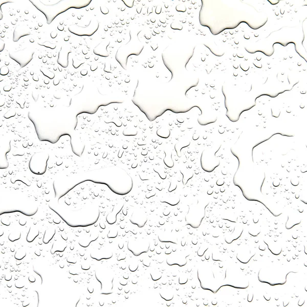 O conceito de gotas de água sobre um fundo branco — Fotografia de Stock