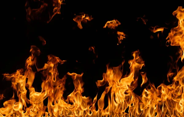 alevler siyah arkaplanda.