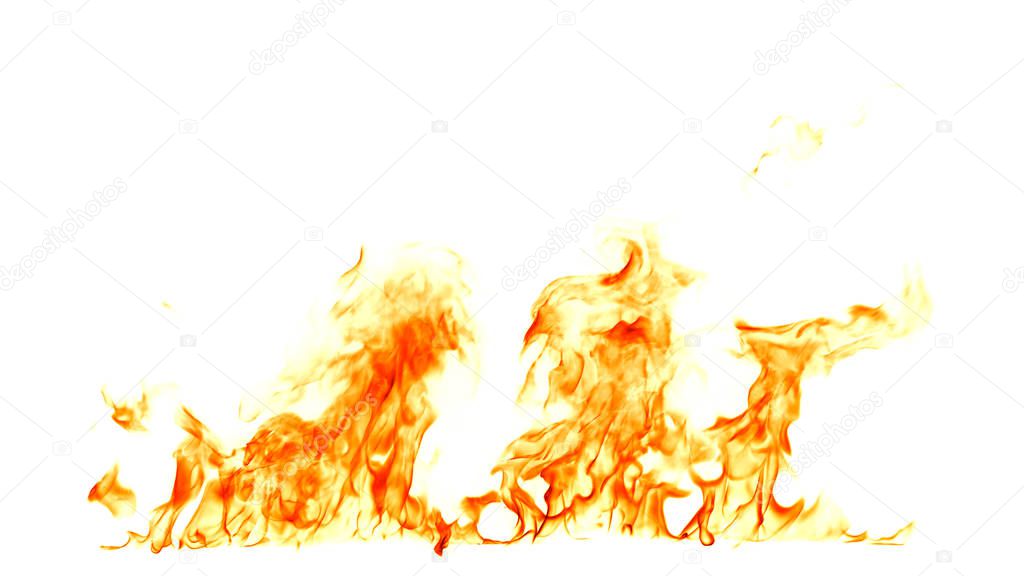 Fire flames isolated on white background.