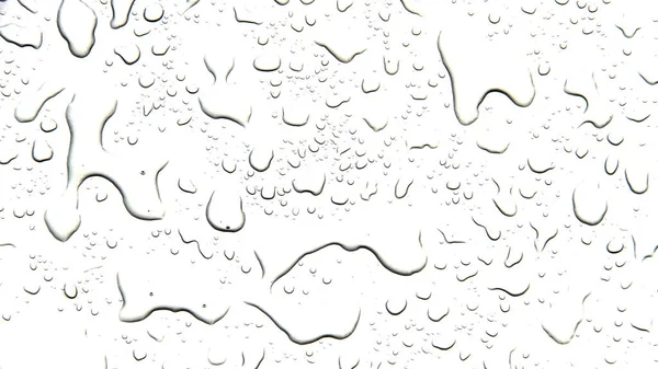 O conceito de gotas de água sobre um fundo branco — Fotografia de Stock