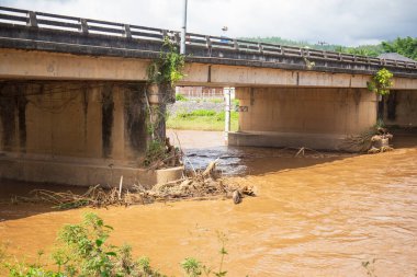 Debris from the flash flood stuck to the bridge stump.