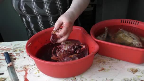 Kok Bereidt Een Gans Voor Kersttafel Gezond Voedselconcept — Stockvideo