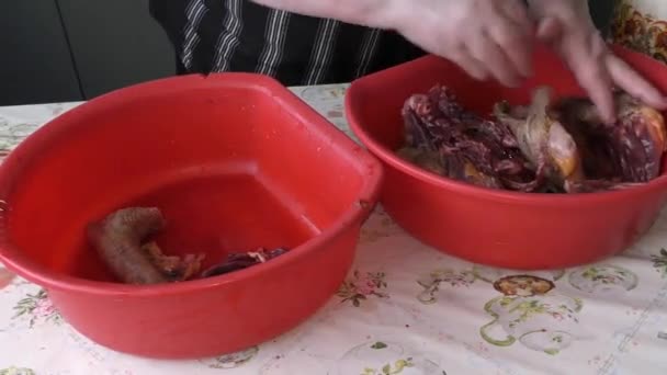 Cozinheiro Prepara Ganso Para Mesa Natal Conceito Alimentar Saudável — Vídeo de Stock