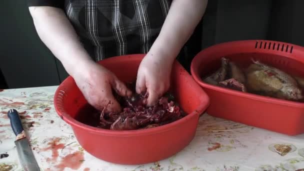 Cozinheiro Prepara Ganso Para Mesa Natal Conceito Alimentar Saudável — Vídeo de Stock