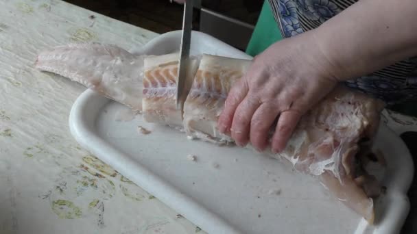 Кухар Очищає Рибну Тріску — стокове відео