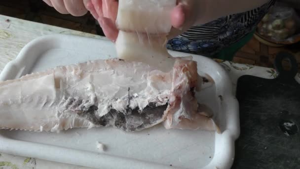 Aşçı Balık Morinasını Temizler — Stok video