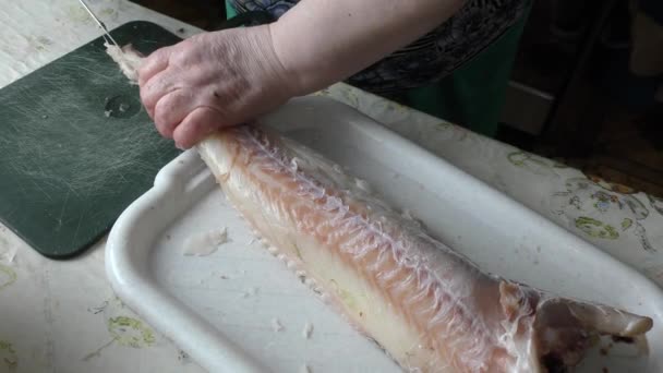 厨师把鱼鳕鱼清洗干净 — 图库视频影像
