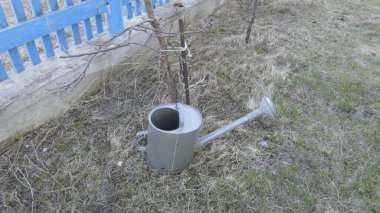 Bahçede çalışmak için bahçe aletleri.