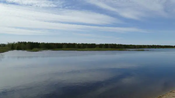 Skog Vårfloden — Stockfoto