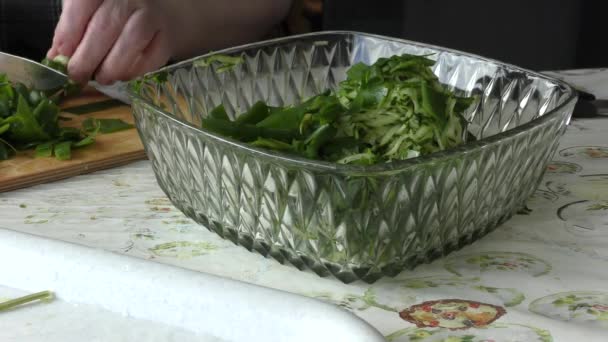 料理人は野菜サラダの健康的な食品コンセプト — ストック動画