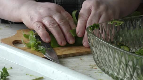 料理人は野菜サラダの健康的な食品コンセプト — ストック動画