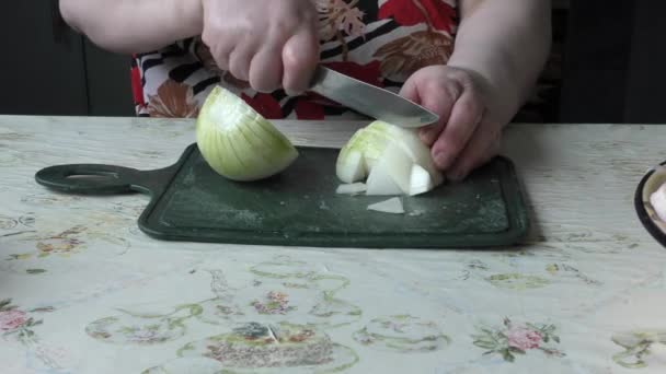 Chef Carves Fresh Chicken — Stock Video