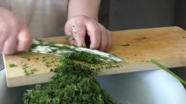 Yemek pişir, dereotu hasat et. Sağlıklı gıda konsepti