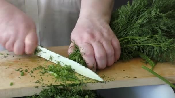 料理人 ディルを収穫する 健康食品のコンセプト — ストック動画