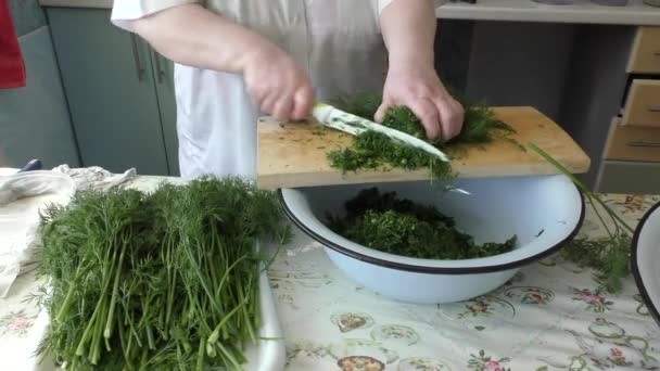 Cuisiner Récolter Aneth Concept Alimentation Saine — Video