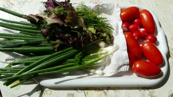 Świeże Warzywa Zioła Talerzu Zdrowa Koncepcja Żywności — Zdjęcie stockowe