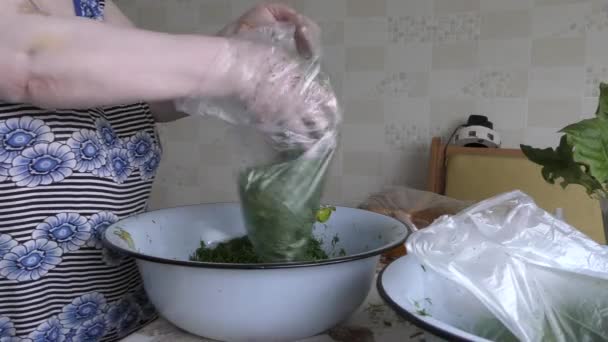 요리사가 진액으로 요리를 — 비디오