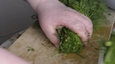 Aşçı taze dereotundan hazırlıklar yapar.