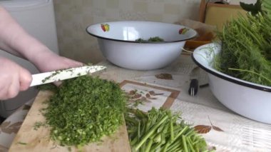 Aşçı taze dereotundan hazırlıklar yapar.